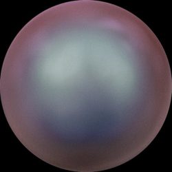   Swarovski gyöngy. 8mm. Iridescent Purple Pearl (001 943) Mindig akcióban!