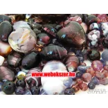 Üveggyöngy mix. 50g. 8 színben! Mindig akcióban!
